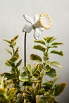 Terrain Daffodil Iron Stake