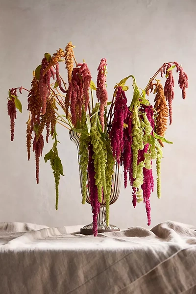 Terrain Amaranth Bouquet In Multi