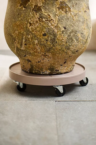 Terrain Rolling Plant Dolly, Grey 16" In Green