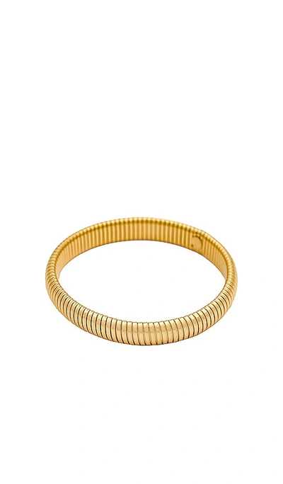 Bracha She's Timeless Bracelet In Gold