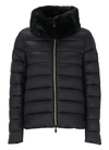 Save The Duck Mei Quilted-finish Padded Jacket In Black