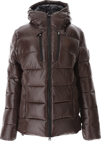Save The Duck Hooded Puffer Jacket In Brown/black