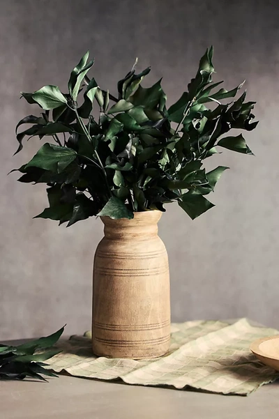 Terrain Preserved Hedera Bunch In Animal Print