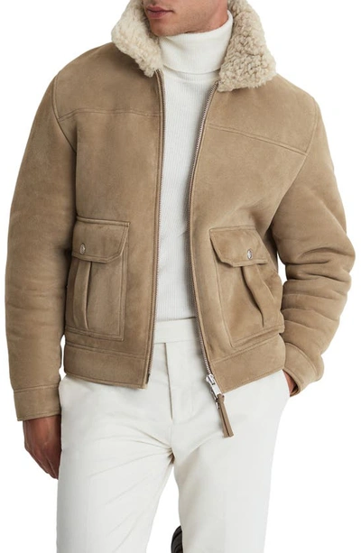 Reiss Stone Roseberry Suede Sheepskin Zip-through Jacket In Grey