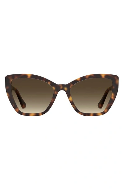 Moschino 55mm Gradient Cat Eye Sunglasses In Havana 2/ Brown Gradient
