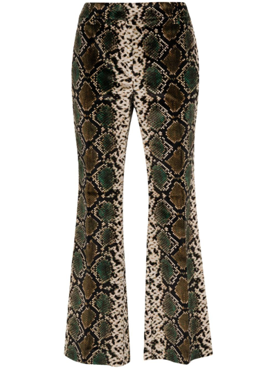 Incotex Snake-print Cotton Trousers In Multicolour