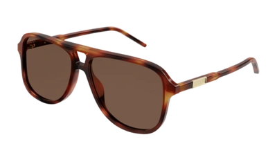 Pre-owned Gucci Sunglasses Gg1156s 003 Havana Brown Man