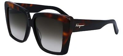 Pre-owned Ferragamo Salvatore  Sf1060s Black Havana/smoke Shaded 55/14/140 Women Sunglasses