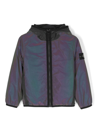 Stone Island Compass-print Hooded Jacket In Grey