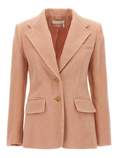 Chloé Velvet Blazer In Nude & Neutrals