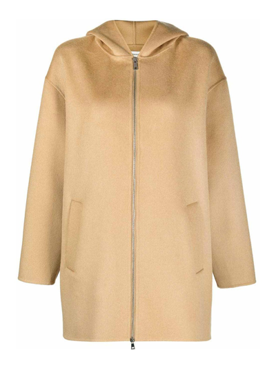 P.a.r.o.s.h Hooded Wool Coat In Beige