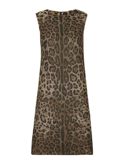 Dolce & Gabbana A Line Dress Leo In Brown