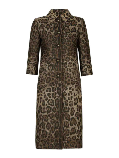 Dolce & Gabbana Leopard-print Single-breasted Coat In Brown