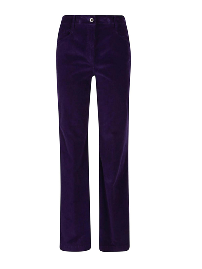 Tsolo Munkh Velvet Pants In Purple
