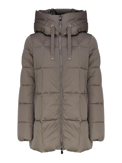 Save The Duck Padded Hooded Coat In Gris