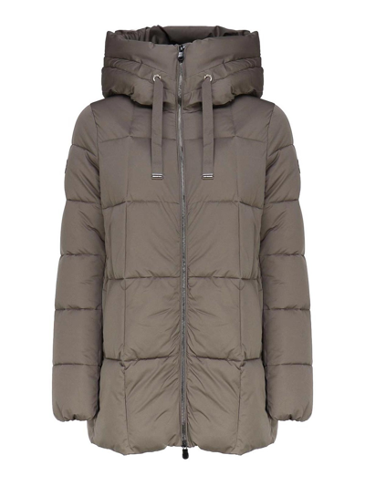 Save The Duck Padded Hooded Coat In Mud Grey