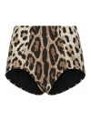 Dolce & Gabbana Slip Guaina In Brown