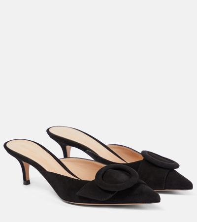 Gianvito Rossi Suede Buckle Point-toe Mules In Black