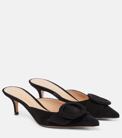 Gianvito Rossi Suede Buckle Point-toe Mules In Nero
