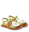 Pom D'api Plagette Big Flo Leather Sandals In Green