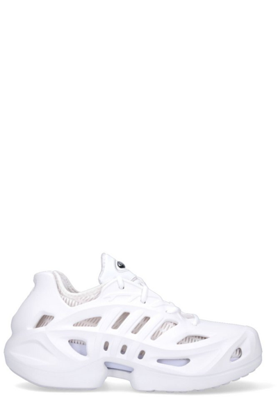 Adidas Originals Adidas Round Toe Lace In White