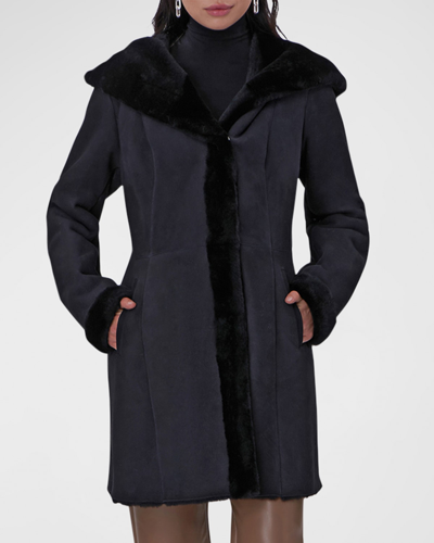 Gorski Shearling Lamb Hooded A-line Stroller Coat In Black
