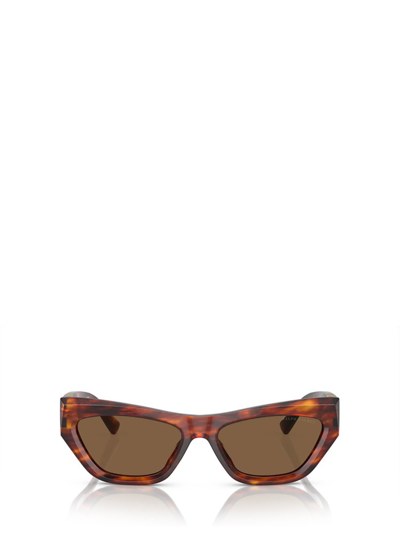 Ralph Lauren Eyewear Cat In Multi