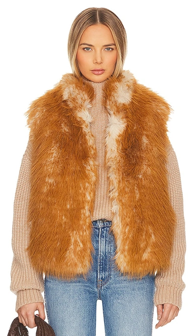 Jocelyn Long Hair Faux Fur Reversible Vest In Gold