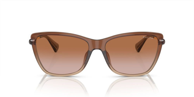 Ralph By Ralph Lauren Eyewear Cat In Brown