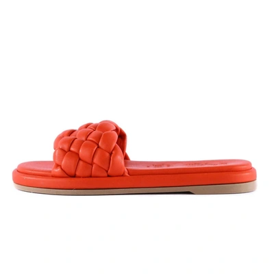 Seychelles Bellissima Slides In Orange