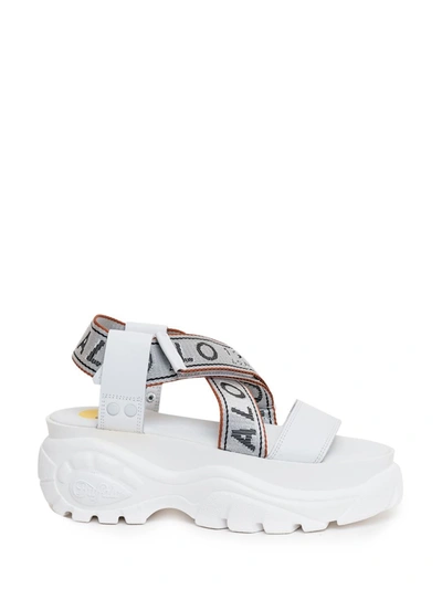 Buffalo Logo Sandals In White