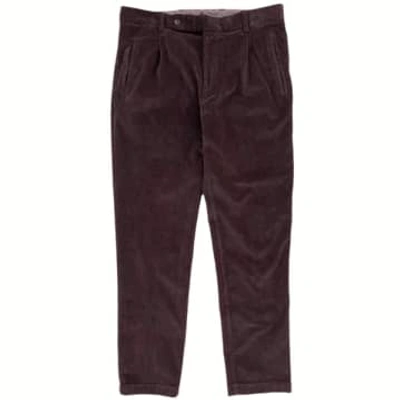Fresh Corduroy Pleated Chino Trousers In Brown