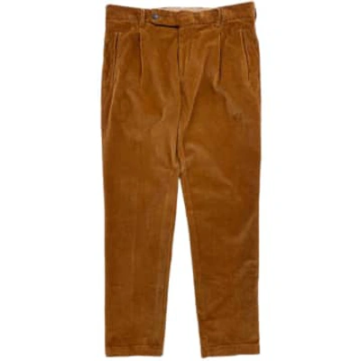 Fresh Corduroy Pleated Chino Pants In Biscuit In Brown