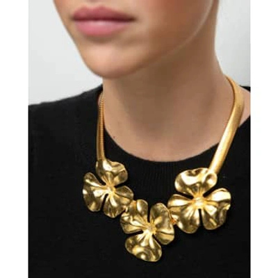 Omi Touch Collar Hybbis In Gold