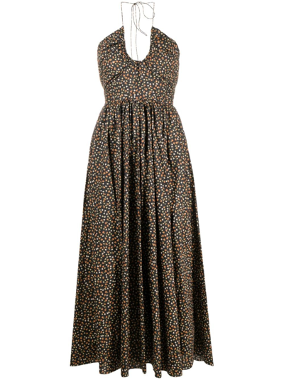 Matteau Floral-print Halterneck Maxi Dress In Black