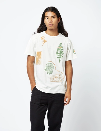 Patagonia Pyrophytes Organic Cotton T-shirt In White