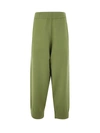 Extreme Cashmere N197 Rudolf Knitted Wide Trousers In Green