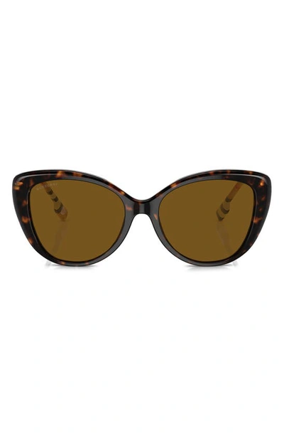 Burberry Be 4407 385483 Cat Eye Polarized Sunglasses In Dark Havana