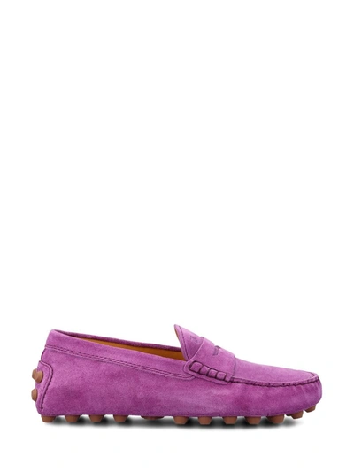 Tod's Low Shoes In Mistery Violet