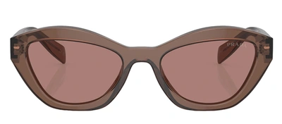 Prada Pr A02s 17o60b Cat Eye Sunglasses In Brown