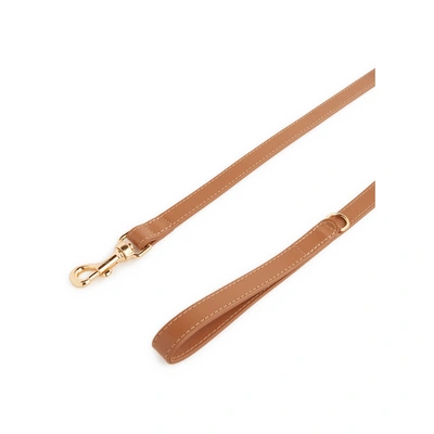 Perro Leather Lead In Brown