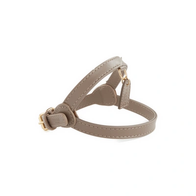 Perro S Leather Harness In Grey