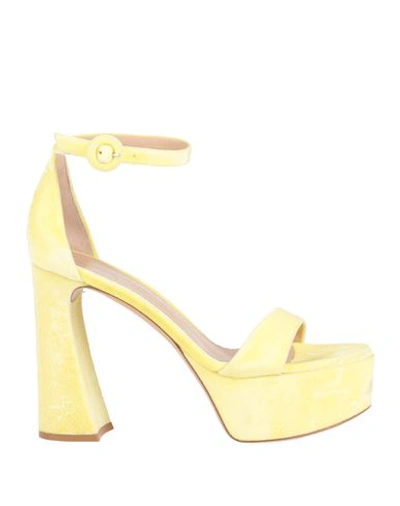 Gianvito Rossi Woman Sandals Yellow Size 10 Textile Fibers
