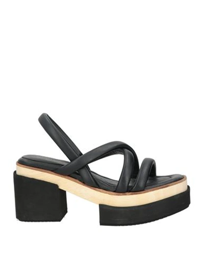 Paloma Barceló Woman Sandals Black Size 9 Textile Fibers