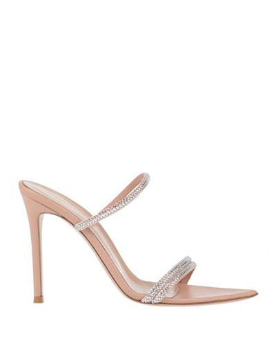 Gianvito Rossi Woman Sandals Blush Size 6 Soft Leather In Pink