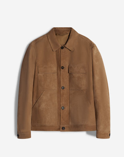 Dunhill Suede Tailored Blouson In Brown