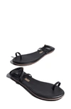 Tkees Phoebe Ankle Strap Sandal In Black
