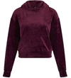 Juicy Couture Velour Cropped Pullover Sweatshirt In Purple