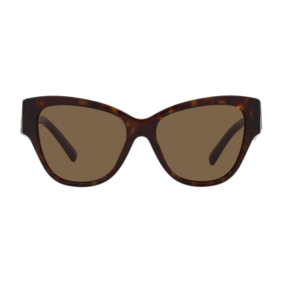 Dolce & Gabbana Eyewear Cat In Multi