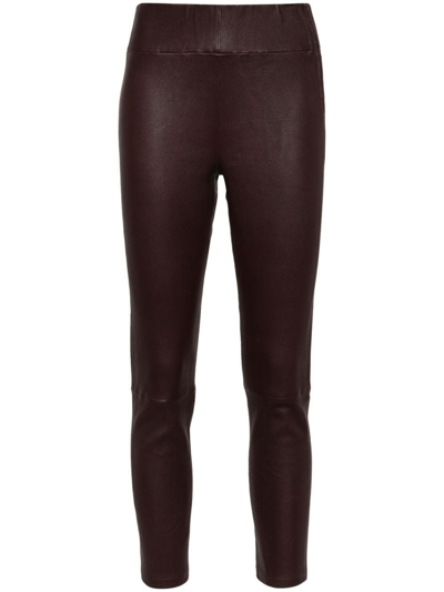 Arma Bellenora High-rise Skinny-leg Leggings In Brown